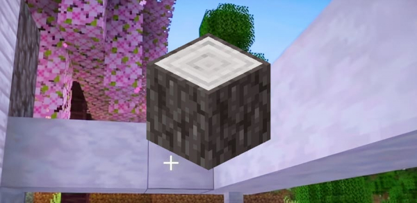 Итоги Minecraft Live 2024