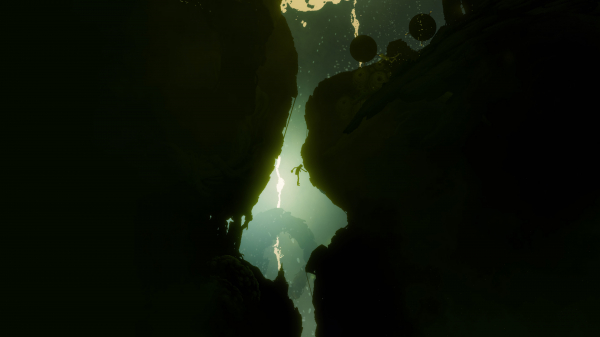 Обзор Bionic Bay