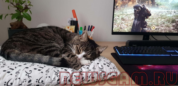 Warhammer 40k: Space Marine 2 — 10 советов для начинающих (часть 2)